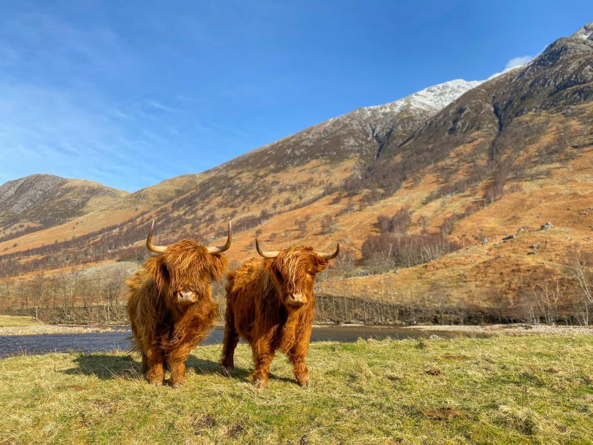 Glen Nevis Holidays Fort William Kültér fotó