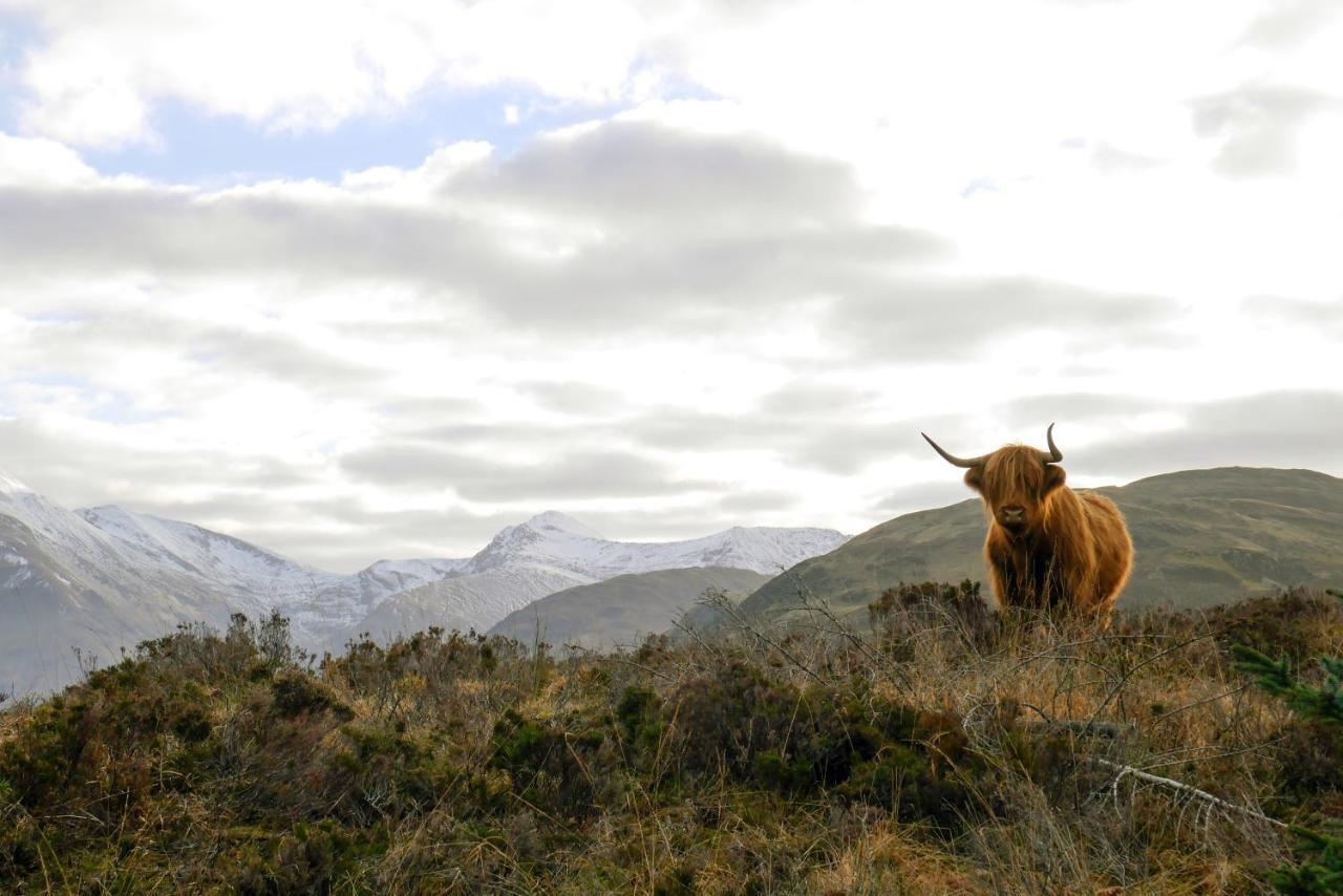 Glen Nevis Holidays Fort William Kültér fotó